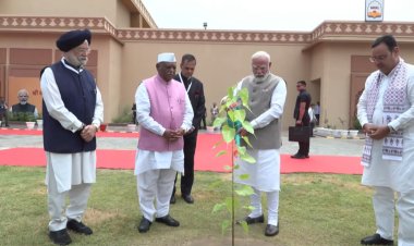 पीपल को खेजड़ी बताने पर घिरे PM मोदी? कांग्रेस MLA हरीश चौधरी का तंज, सोशल मीडिया पर छिड़ी बहस