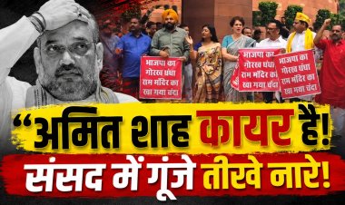 संसद परिसर में विपक्ष का प्रदर्शन: बच्चों पर कथित अत्याचार और राम मंदिर चढ़ावा विवाद को लेकर सरकार पर निशाना, अमित शाह के खिलाफ लगे नारे
