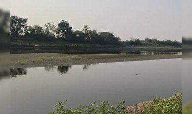 यमुना जल परियोजना को मिली बड़ी रफ्तार, DPR के लिए जरूरी स्वीकृतियां जारी; शेखावाटी को मिलेगा पानी
