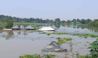 नेपाल की बाढ़ का यूपी पर असर! महाराजगंज-कुशीनगर में अलर्ट, CM योगी ने दिए सख्त निर्देश