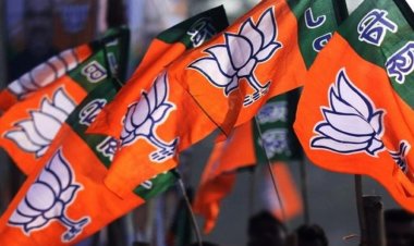निकाय टिकटों पर BJP की रातभर माथापच्ची, दौसा में पारिवारिक विवाद के बीच फायरिंग; ट्रक में भी लगी आग