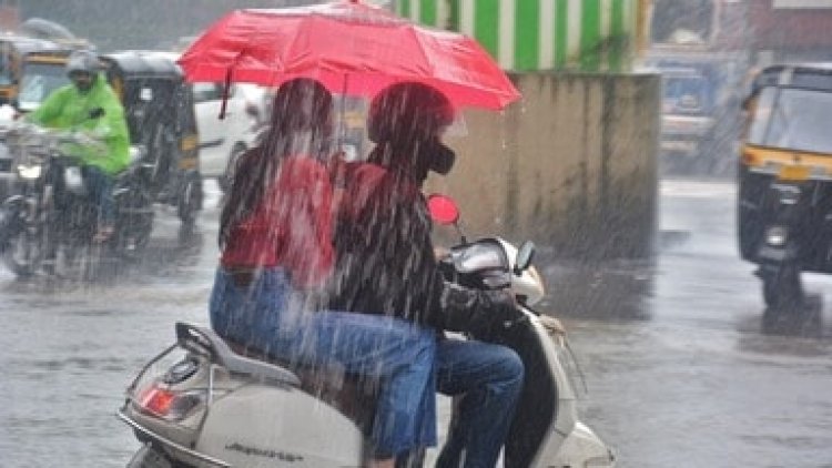 Rajasthan Rain Alert: हाड़ौती में आसमान से आफत! 12 इंच तक बारिश, कालीसिंध-छापी बांध के गेट खुले; 23 जिलों में अलर्ट