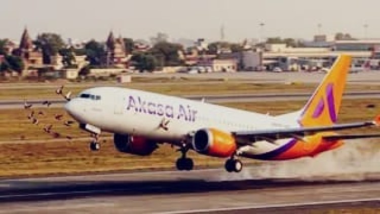 Varanasi Airport: अकासा एयर की फ्लाइट से टकराया पक्षी, 188 यात्रियों की जान पर बनी आफत; वाराणसी लौटाया गया विमान