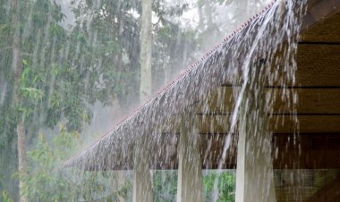 Rajasthan Weather Update: 11 साल का दूसरा सबसे सूखा अगस्त, अब अगले 72 घंटे बारिश का अलर्ट; 2 सितंबर से बदलेगा मौसम