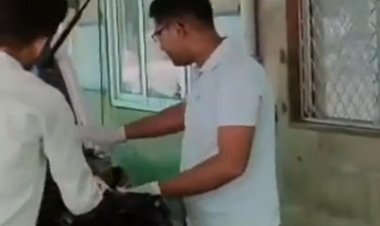 अलवर में ट्रेन की चपेट में आने से 43 वर्षीय व्यक्ति की मौत, रेलवे जंक्शन के पास मिला शव