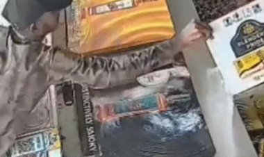 Jaipur News : दिनदहाड़े शराब दुकान से गल्ला उठाकर बदमाश फरार, कर्मचारियों के सामने हुई वारदात; CCTV से तलाश