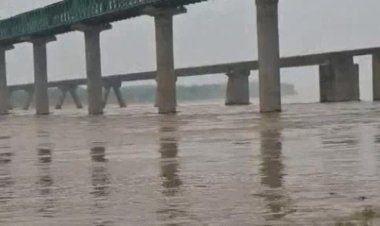 धौलपुर में चंबल उफान पर: एक रात में 8 मीटर बढ़ा जलस्तर, खतरे के निशान से सिर्फ 1 मीटर दूर