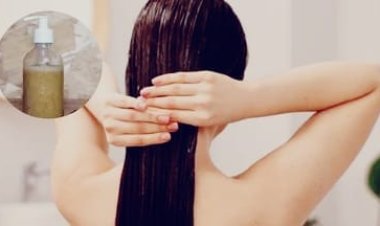 Hair Care Tips: बालों की ग्रोथ के लिए शैंपू में मिलाएं ये घरेलू मिश्रण, जानें बनाने और इस्तेमाल करने का तरीका
