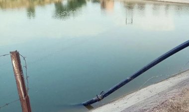 Hanumangarh News: भाई को बचाने डिग्गी में कूदे तीन भाई, तीनों की डूबने से मौत