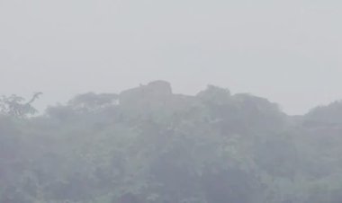 करौली में किले की दीवार पर दिखा लेपर्ड, साथ नजर आए दो शावक; वन विभाग ने बढ़ाई निगरानी