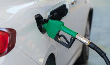 Petrol Diesel Price Today: आज नहीं बदले पेट्रोल-डीजल के दाम, जानें दिल्ली से पटना तक का रेट
