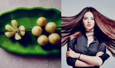 Hair Care Tips: बालों को लंबा और मजबूत बनाने के लिए खाएं ये 2 होममेड स्नैक्स, जानें बनाने का तरीका