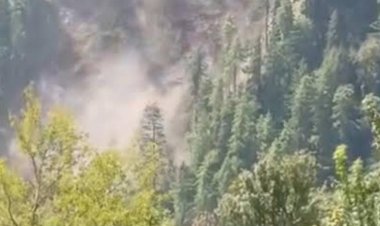 शिमला में बारिश के बीच धंसा जंगल का हिस्सा, दर्जनों देवदार के पेड़ गिरे; 18 सितंबर तक बारिश का अनुमान