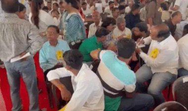 Dholpur Municipal Elections : वार्ड 5 से निर्दलीय प्रीति राजावत जीतीं, वार्ड 1 में कांग्रेस का कब्जा