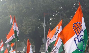 Jhunjhunu Municipal Election Results: कांग्रेस 30 सीटों के साथ सबसे बड़ी पार्टी, बहुमत से 1 कदम दूर; 15 निर्दलीय जीते