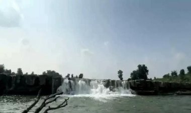 राजस्थान में विदाई से पहले मानसून का जोर, डूंगरपुर में डैम ओवरफ्लो; उदयपुर में पुल पर बहा पानी