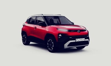 देश में सबसे ज्यादा बिकीं ये 5 कारें! Tata Punch ने मारी बाजी, Maruti की 4 कारों का जलवा