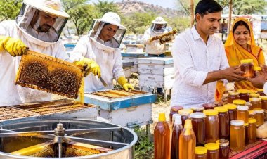 Rajasthan: 17.5 करोड़ रुपए से भरतपुर और टोंक में बनेंगे मधुमक्खी पालन एक्सीलेंस सेंटर, युवाओं को मिलेगा प्रशिक्षण
