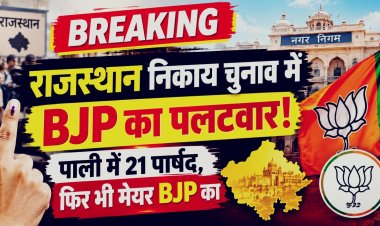 राजस्थान निकाय चुनाव: BJP ने पलटा खेल, पाली में 21 पार्षद फिर भी मेयर की कुर्सी; अलवर-उदयपुर में भी कमल
