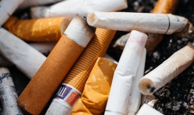 सिगरेट के बाद Nicotine Pouch बना Big Tobacco का नया दांव, भारत में सरकार का शिकंजा; ऑनलाइन से दुकानों तक होगी कार्रवाई