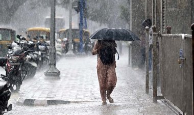 राजस्थान में फिर बदला मौसम, जयपुर-टोंक समेत कई जिलों में बारिश और तेज हवाओं का अलर्ट