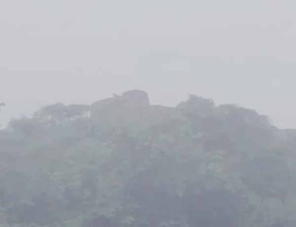 करौली में किले की दीवार पर दिखा लेपर्ड, साथ नजर आए दो शावक; वन विभाग ने बढ़ाई निगरानी