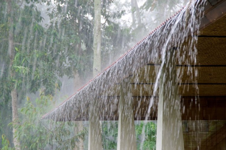 Rajasthan Weather Update: 11 साल का दूसरा सबसे सूखा अगस्त, अब अगले 72 घंटे बारिश का अलर्ट; 2 सितंबर से बदलेगा मौसम