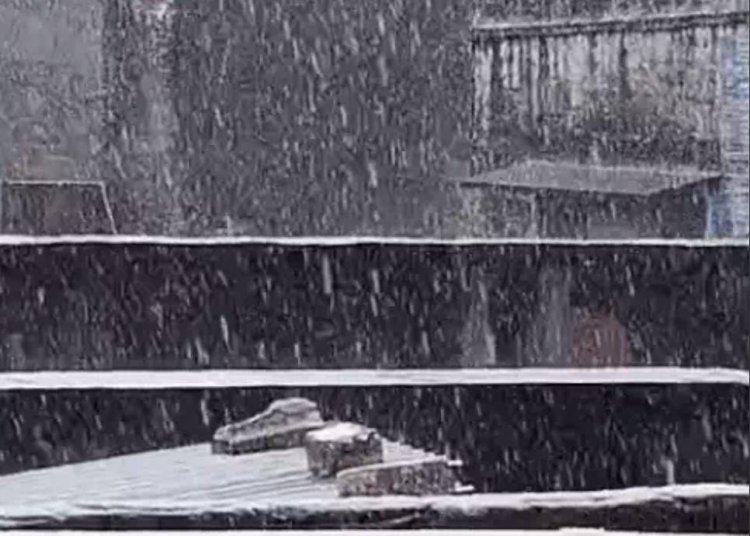 राजस्थान में बारिश का जोर: सवाई माधोपुर में मंदिर पर गिरी बिजली, धौलपुर का डैम छलका; कई जिलों में पानी ही पानी