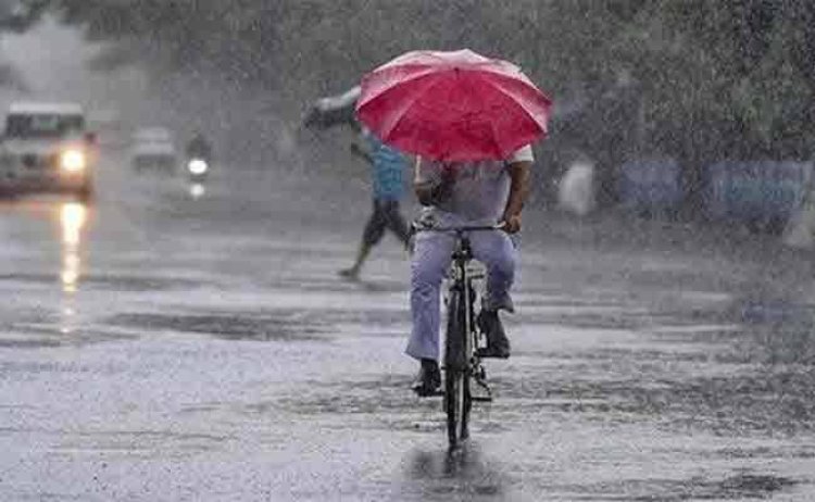 Rajasthan Weather: राजस्थान में फिर एक्टिव हुआ मानसून, 20 जिलों में बारिश का अलर्ट; बांधों के गेट खोले