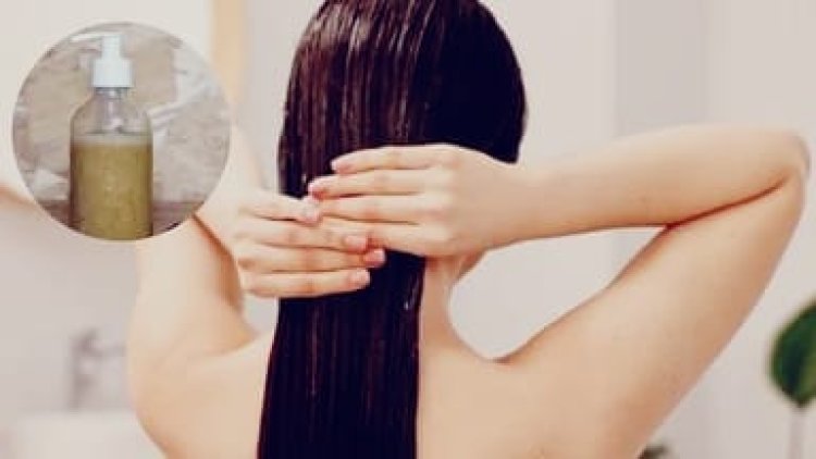 Hair Care Tips: बालों की ग्रोथ के लिए शैंपू में मिलाएं ये घरेलू मिश्रण, जानें बनाने और इस्तेमाल करने का तरीका