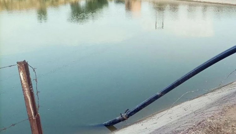 Hanumangarh News: भाई को बचाने डिग्गी में कूदे तीन भाई, तीनों की डूबने से मौत