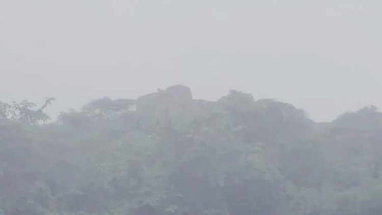 करौली में किले की दीवार पर दिखा लेपर्ड, साथ नजर आए दो शावक; वन विभाग ने बढ़ाई निगरानी
