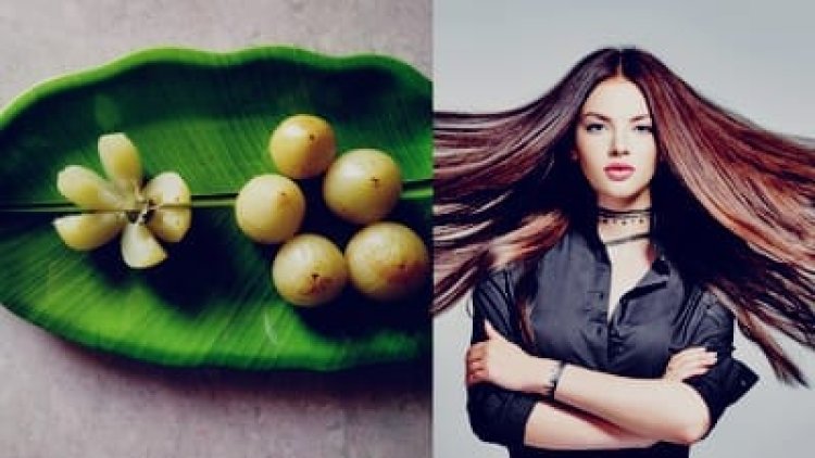 Hair Care Tips: बालों को लंबा और मजबूत बनाने के लिए खाएं ये 2 होममेड स्नैक्स, जानें बनाने का तरीका