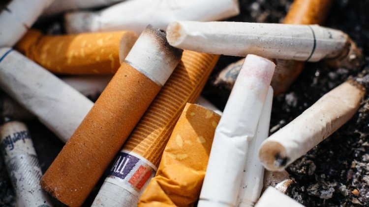 सिगरेट के बाद Nicotine Pouch बना Big Tobacco का नया दांव, भारत में सरकार का शिकंजा; ऑनलाइन से दुकानों तक होगी कार्रवाई