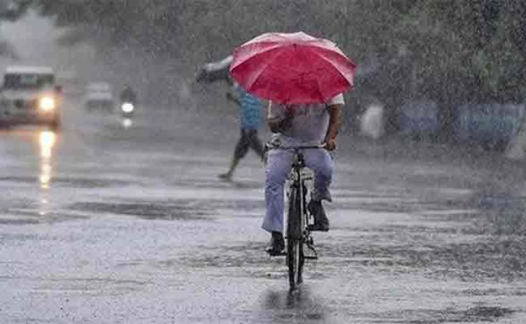 राजस्थान में फिर बदला मौसम का मिजाज, सीकर में तेज हवा के साथ बारिश; आज 16 जिलों में यलो अलर्ट