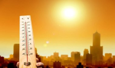 Rajasthan Weather: गर्मी के बीच बदलेगा मौसम, 3 जिलों में आंधी-बारिश का अलर्ट; रात में गिरा पारा