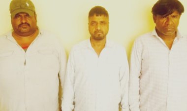 मक्का और फल खिलाकर बकरियां चुराते थे आरोपी, 200 CCTV फुटेज खंगालकर MP से गिरफ्तार