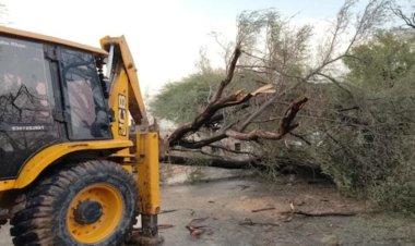 बीकानेर में मौसम का तांडव! चलते ट्रैक्टर पर गिरा पेड़, कई लोग घायल; ओलों ने बढ़ाई किसानों की चिंता