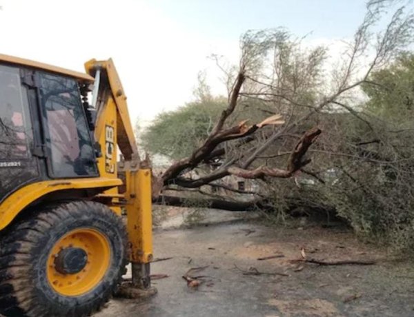 बीकानेर में मौसम का तांडव! चलते ट्रैक्टर पर गिरा पेड़, कई लोग घायल; ओलों ने बढ़ाई किसानों की चिंता
