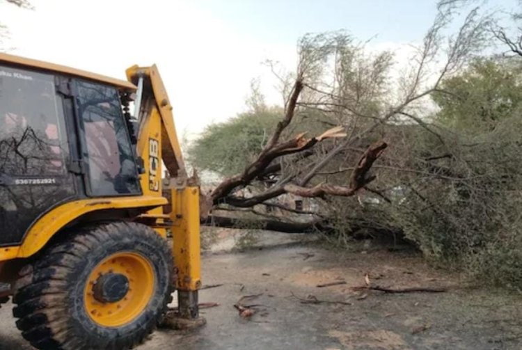 बीकानेर में मौसम का तांडव! चलते ट्रैक्टर पर गिरा पेड़, कई लोग घायल; ओलों ने बढ़ाई किसानों की चिंता