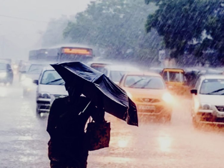 राजस्थान के 7 जिलों में बारिश का यलो अलर्ट, माउंट आबू में पारा 13 डिग्री से नीचे